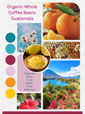 Organic Whole Coffee Beans (Medium Roast) - Guatemala - 4 oz
