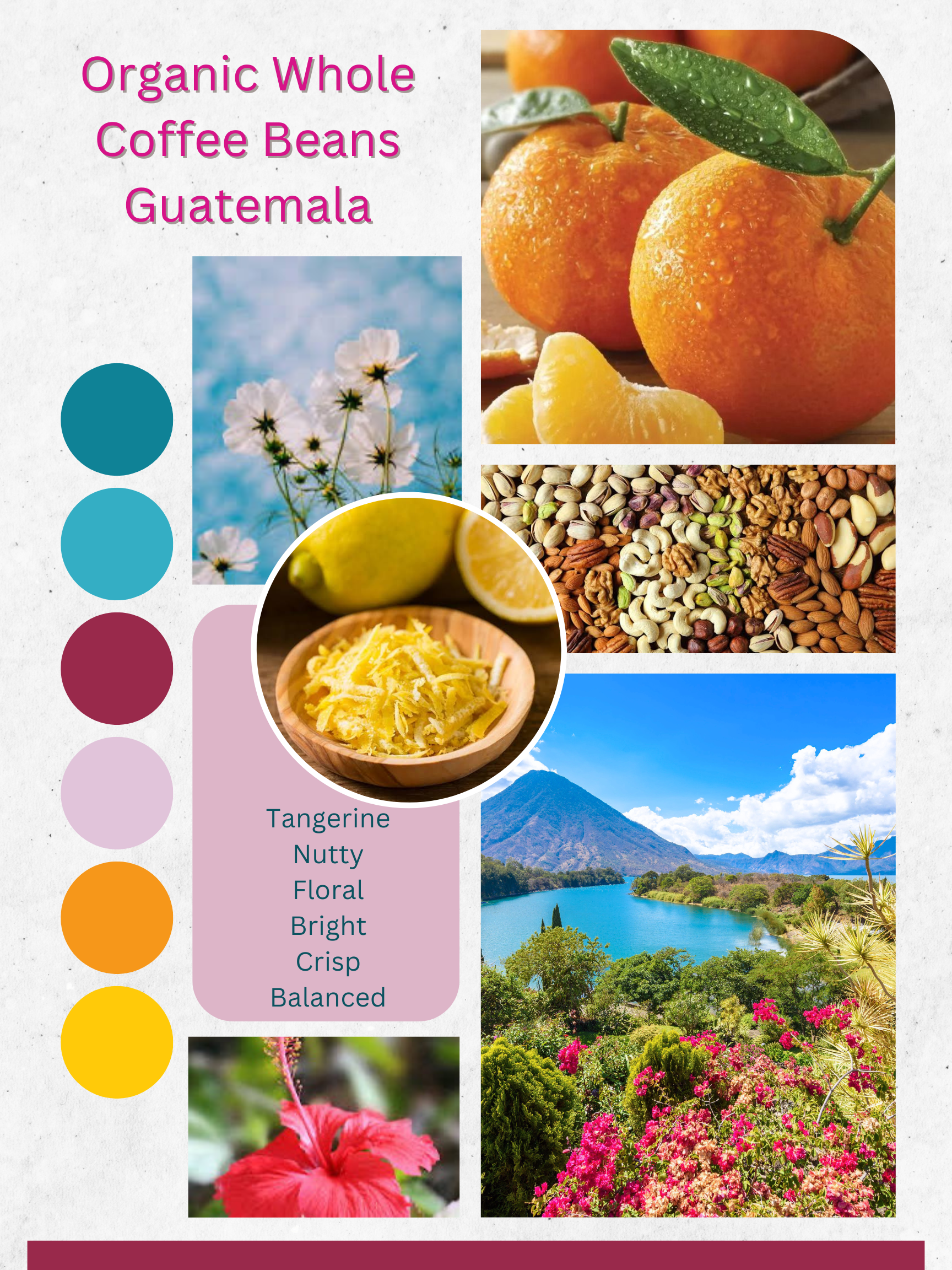 Organic Whole Coffee Beans (Medium Roast) - Guatemala - 4 oz